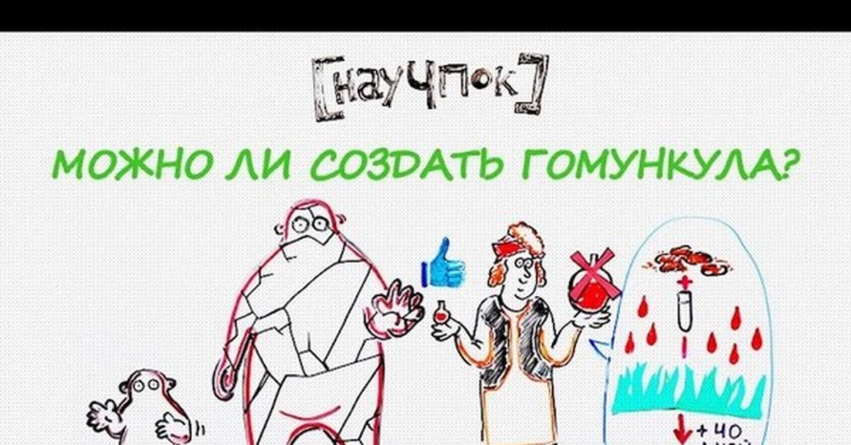 Мама выкинула гомункула. Гомункул правда или ложь. Можно ли создать гомункула