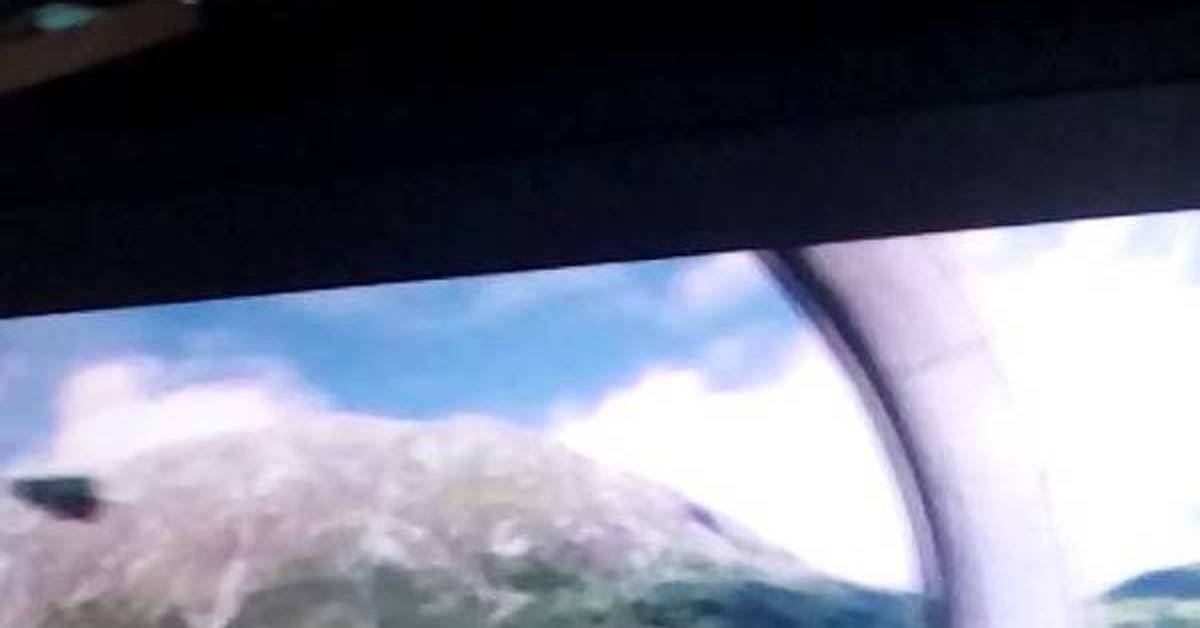 Мой кот любит Гарри Поттера. | Пикабу