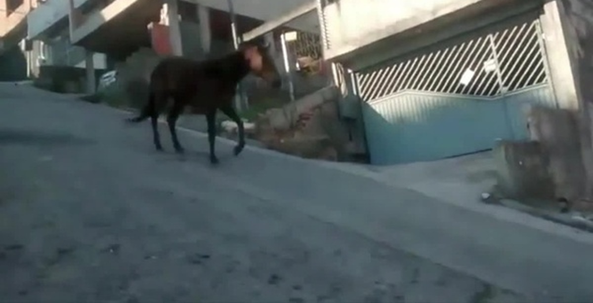 Когда забыл снять с ручника | Пикабу