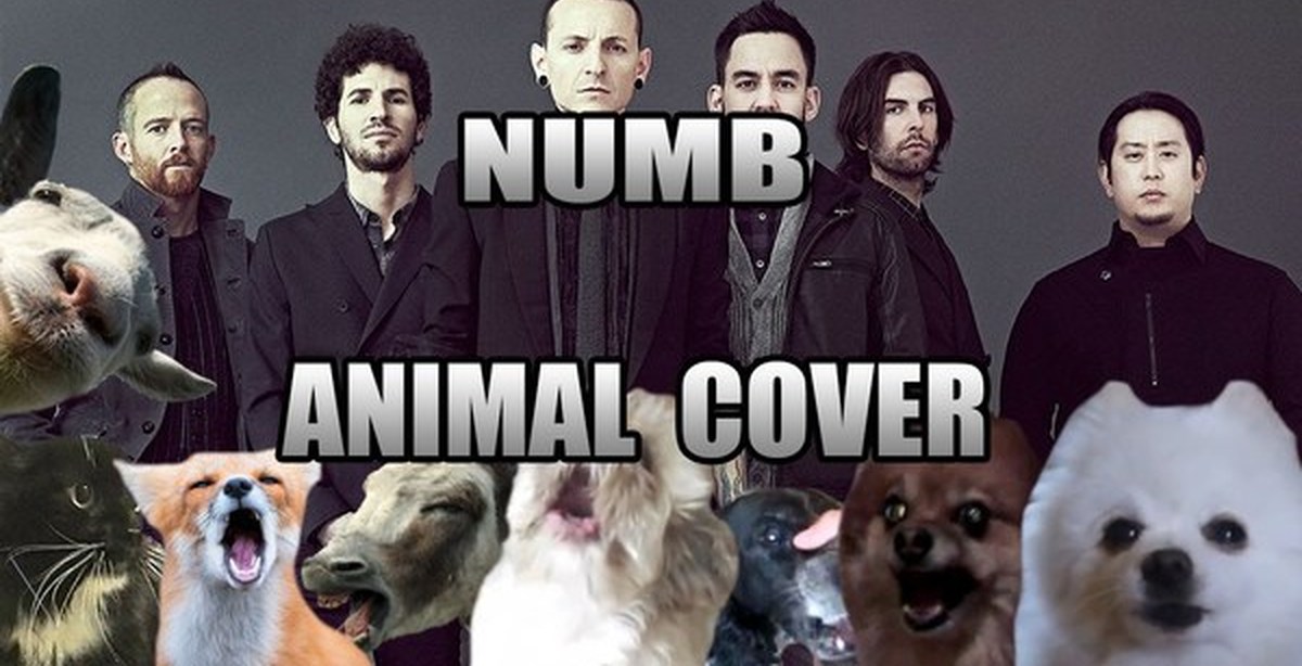 Каверы linkin park. Группа линкин парк. Линкин парк животное. Линкин Энималс. Linkin Park Park собака.