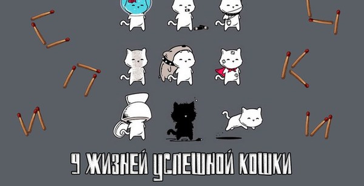 9 кошек. У кошки девять жизней. 9 Жизней кошки. У котов 9 жизней. 9 Кошачьих жизней.