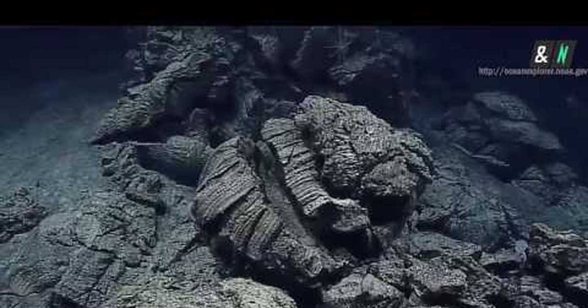 Тихий океан документальный. Что на дне Марианской впадины. Марианский жёлоб дно. Кадры со дна Марианской впадины. Марианская впадина фото со дна.