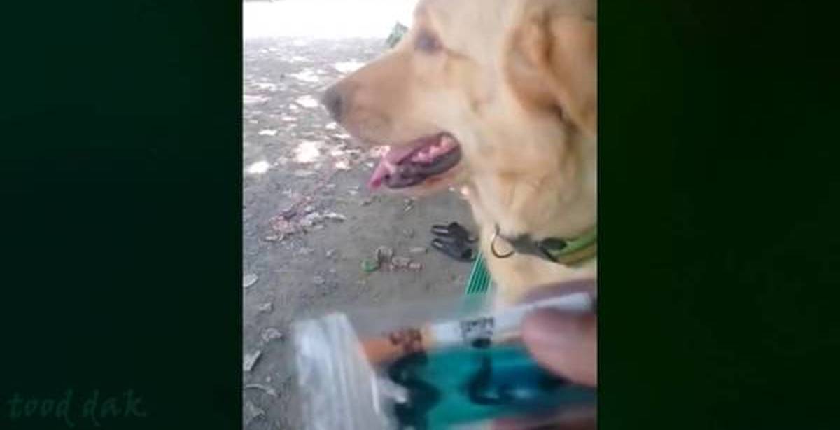 джеймс макэвой. прикрывая пальто сигарету щенки. девушка с пальто в руках. мизантроп бар екатеринбург. девушка в голубом пальто книга.