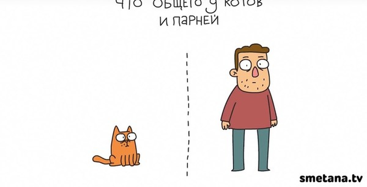 Что то общее между нами. Бухгалтер и бюстгальтер похожи. Между нами города я скучаю. Чтобы не происходило в жизни. Парни и котики.