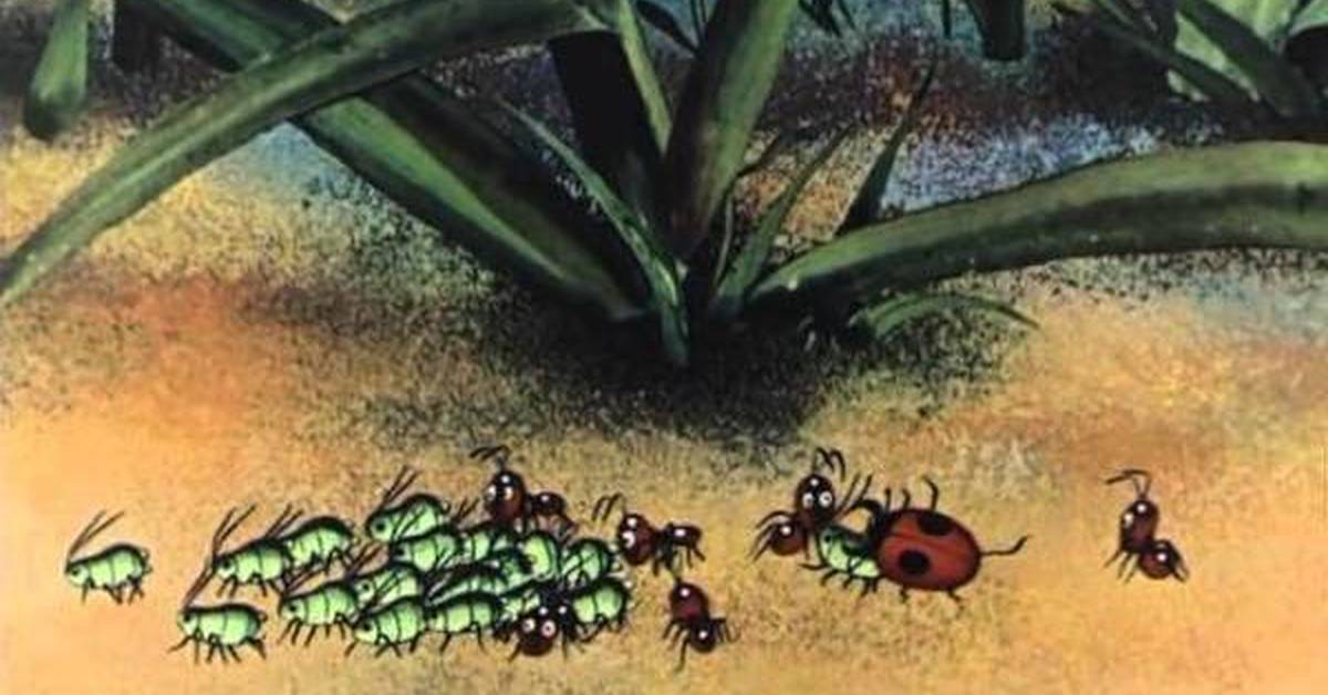 Ножка болит муравейник закроется. Путешествие муравья 1983. Путешествие муравья Назаров. Путешествие муравья 1983 г.