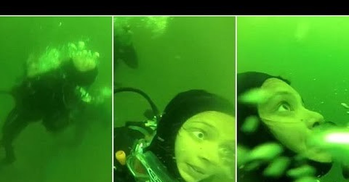 В глубине были видны. Барбара Диллинджер дайвер. Трупы аквалангистов в океане.