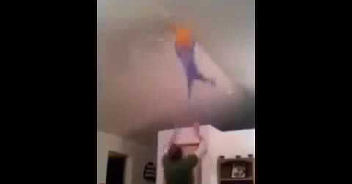 Дикий папа. Отец инны вальтер. Даша пынзарь и давид пынзарь. Инна вальтер знай папа. Видео папа знает.