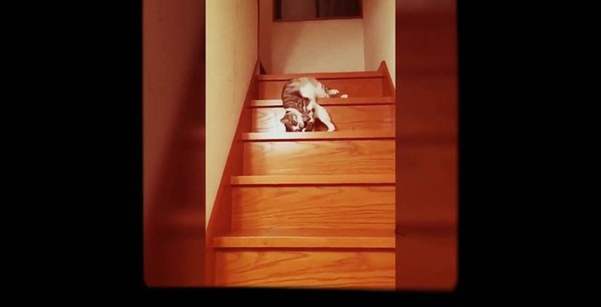 По копеечке по зернышку по семечку. Курочка по зернышку клюет продолжение пословицы. Drive2 renault logan изготовление оптики. Зарабатываем на зерне 30000000. Пшеница фуражная.