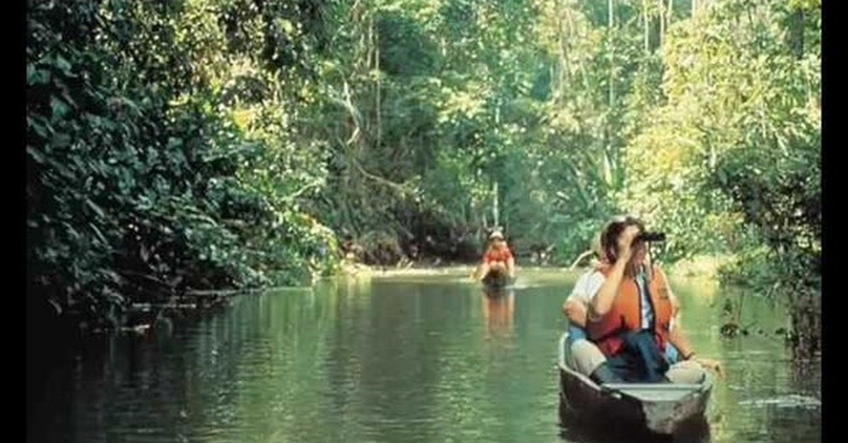 «на далекой амазонке» р. образ амазонки. татьяна и сергей никитины - на далёкой амазонке. на далёкой амазонке сергей никитин. экскурсия по амазонке.