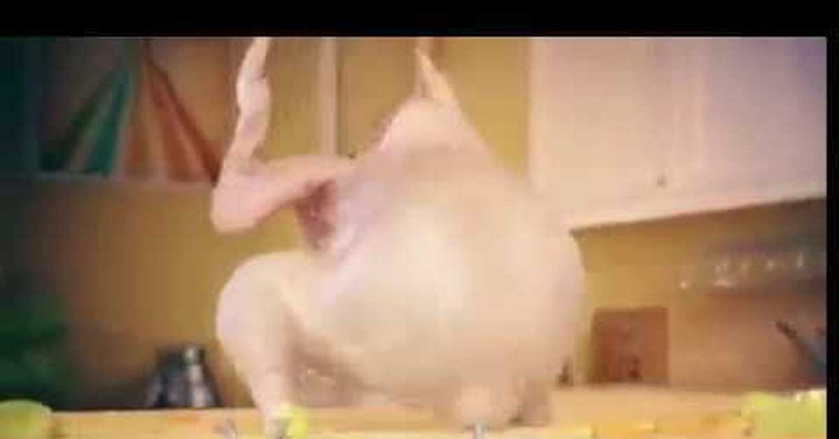 Включи танцующую курицу. Танцующая курица. Танцующая курица gif. Чикен сонг. Включи танцующую курицу.