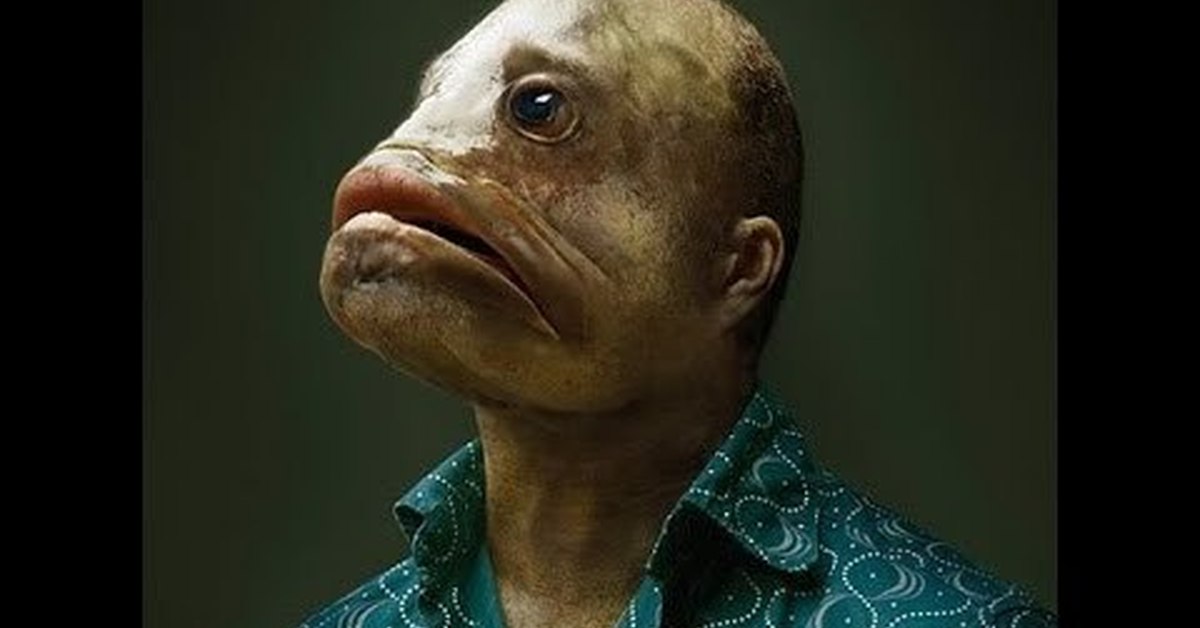 Рыба друг человека. Рыба губошлеп. Лицо рыбки.