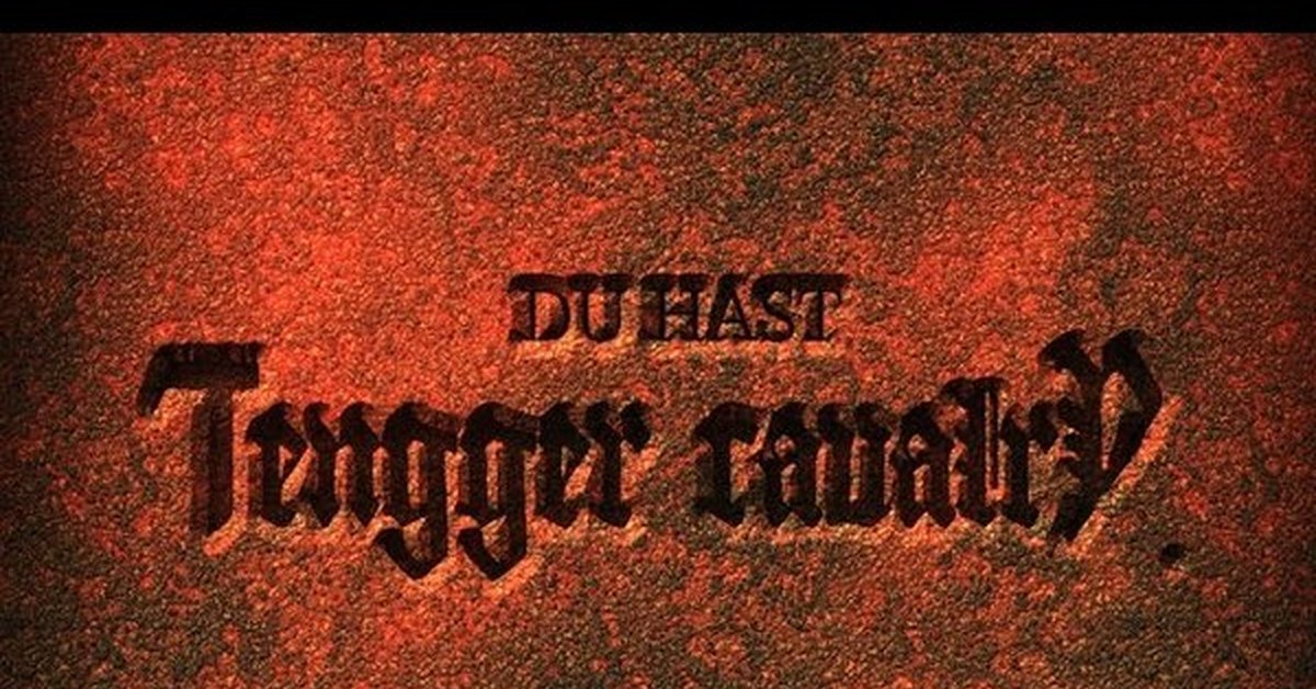 Du hast cover