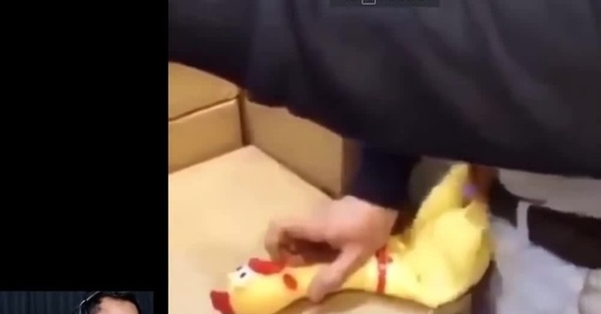 Chicken Fucker Video