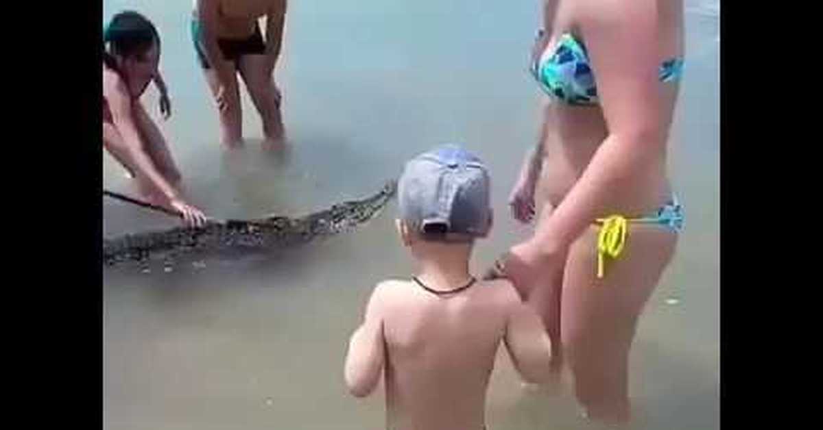 Пока муж купался. Крокодил на пляже в Анапе. Крокодильчик купается. Крокодил купается в море.