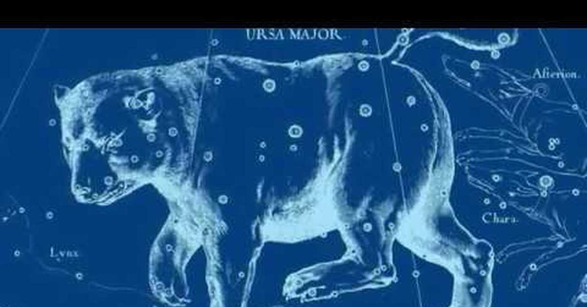 Знаки большой медведицы. Большая Медведица (Ursa Major). Созвездие большой медведицы. Созвездия в виде животных. Силуэты созвездий.