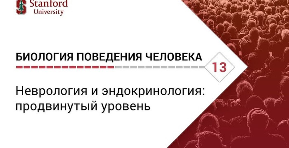 12 лекций курс. Сапольский биология поведения человека.