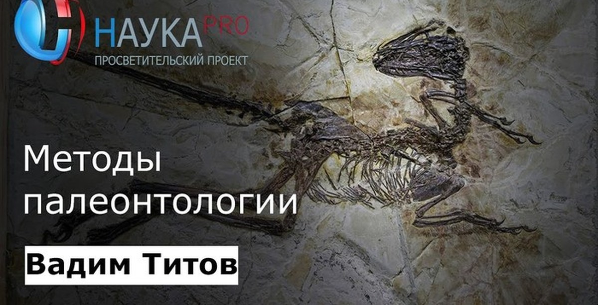 Методы палеонтологии | Пикабу